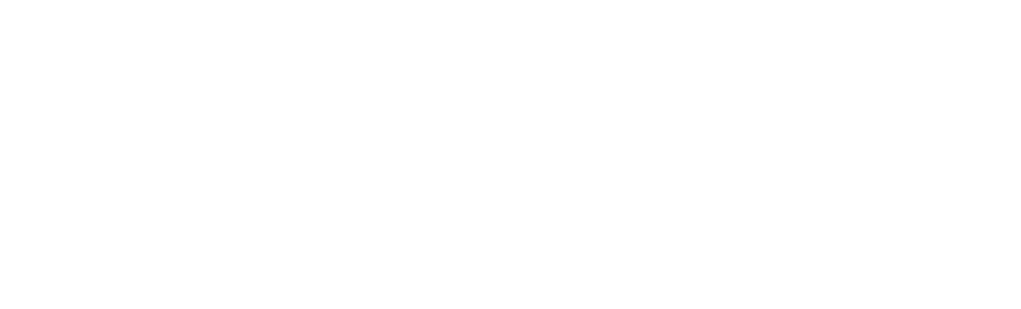 Iconos